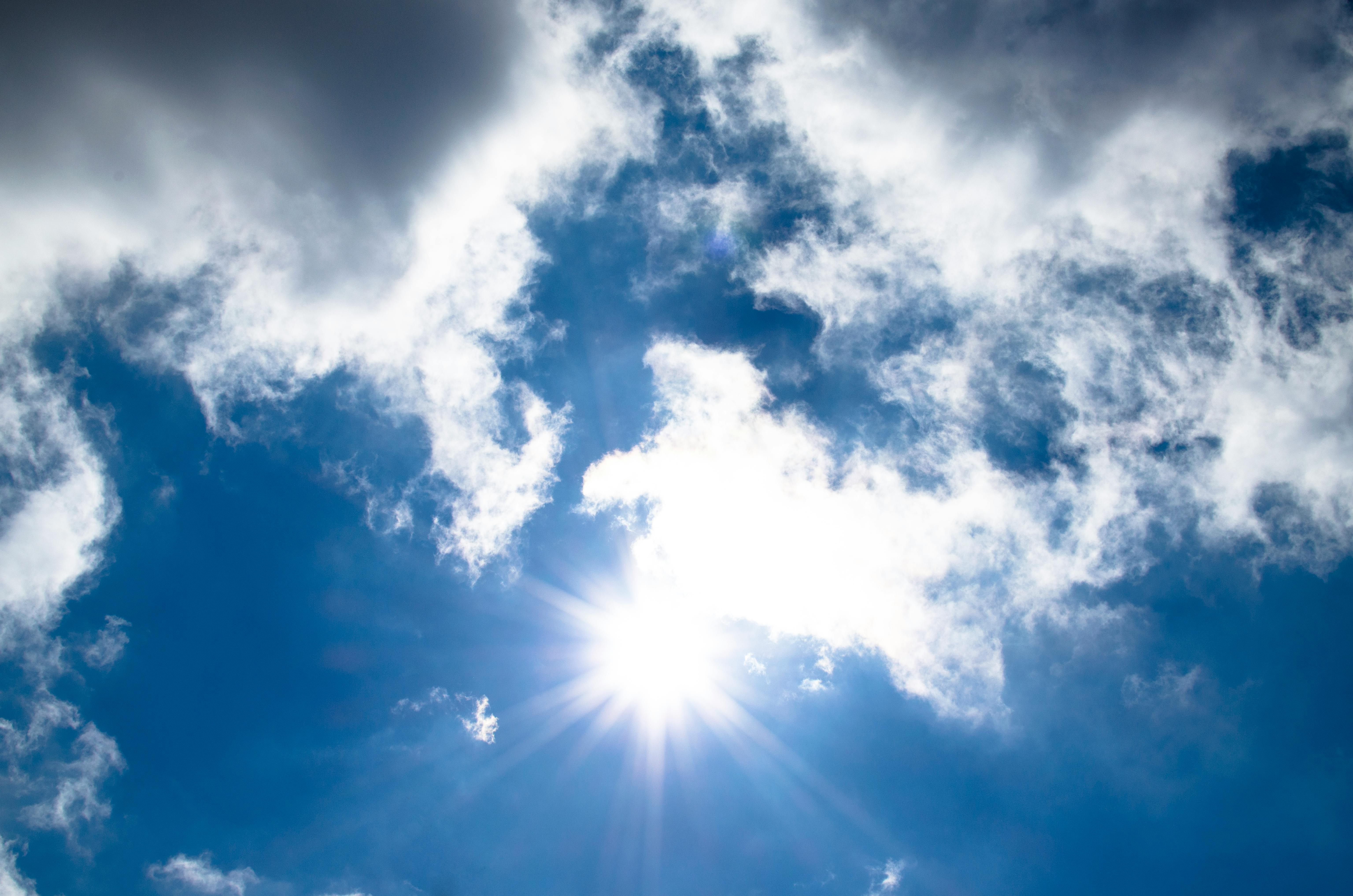 conseils canicule
