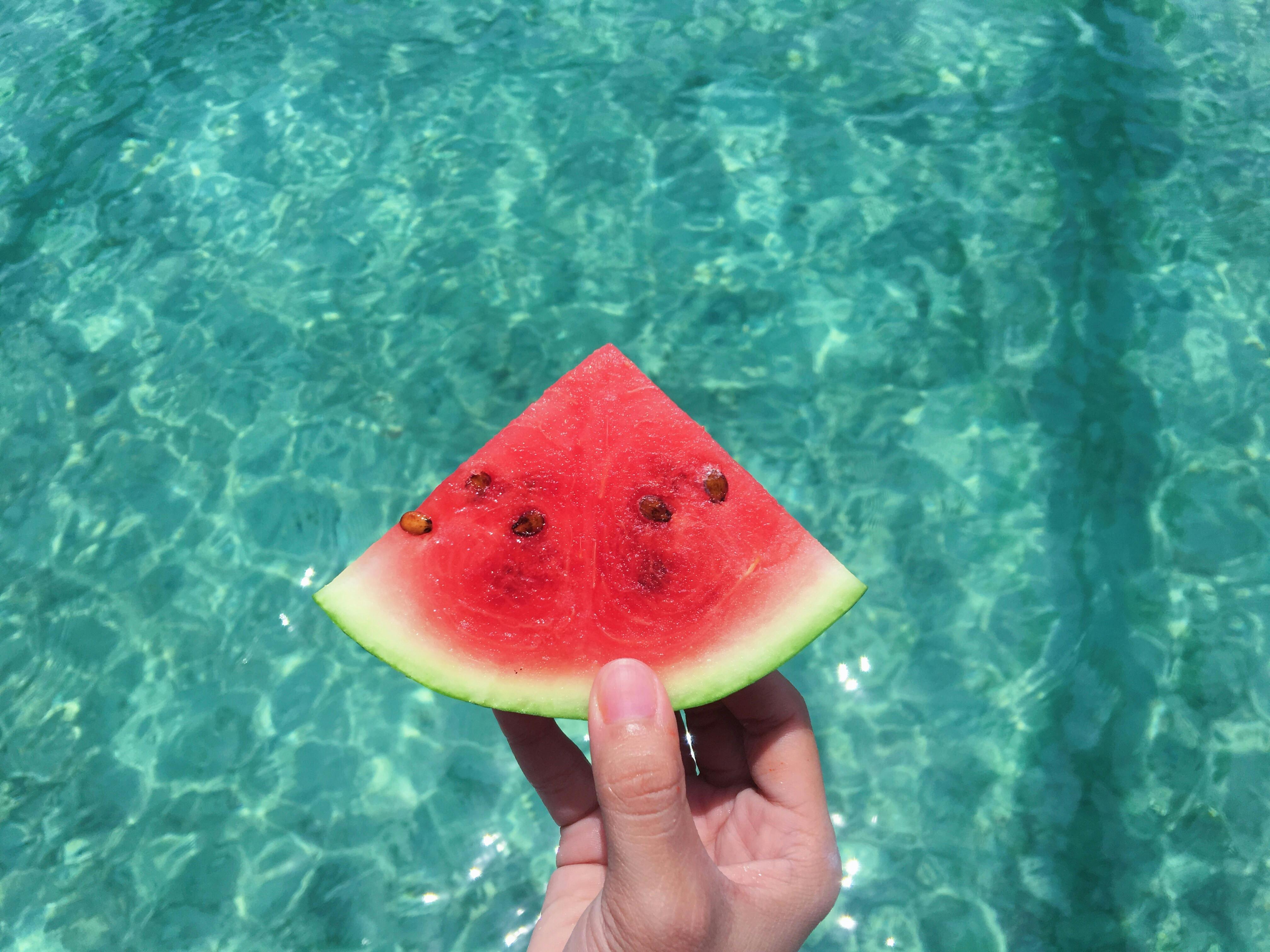 conseils canicule
